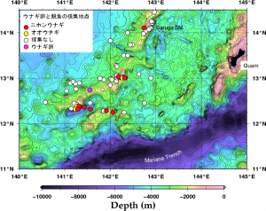 海底地形図と採取地点