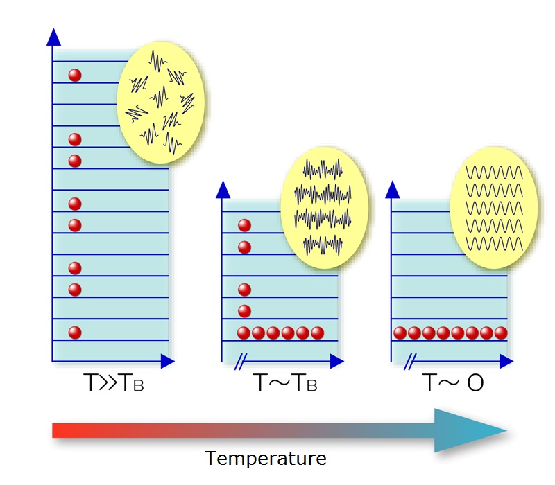 Figure 1: Conceptual diagram of Bose-Einstein condensation<br>As the temperature cools, particles begin to show wave-like properties. At ultra-low temperatures in the vicinity of absolute zero, particles behave as a single unit, and the characteristics of individual particle waves become synchronized and combine in a single large wave. This phenomenon is known as Bose-Einstein condensation, after Albert Einstein and his contemporary, the Indian physicist Satyendra Nath Bose.<br>© 2015 The University of Tokyo. Figure 1: Conceptual diagram of Bose-Einstein condensation<br>As the temperature cools, particles begin to show wave-like properties. At ultra-low temperatures in the vicinity of absolute zero, particles behave as a single unit, and the characteristics of individual particle waves become synchronized and combine in a single large wave. This phenomenon is known as Bose-Einstein condensation, after Albert Einstein and his contemporary, the Indian physicist Satyendra Nath Bose.<br>© 2015 The University of Tokyo.