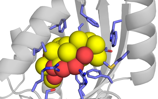 Crystal structure of isomerase giving rise to diversity in complex natural product © 2017 Ikuro Abe.An isomerase catalyzes reconstruction of the scaffold in natural compounds.