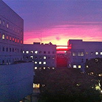 夕焼け