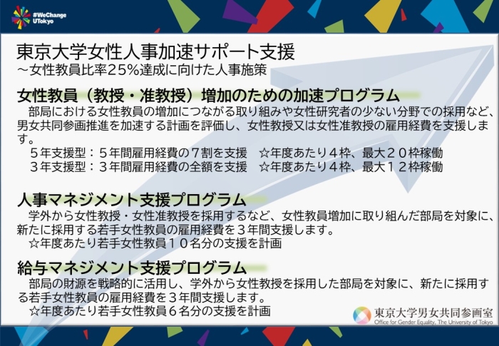 女性人事加速サポート事業