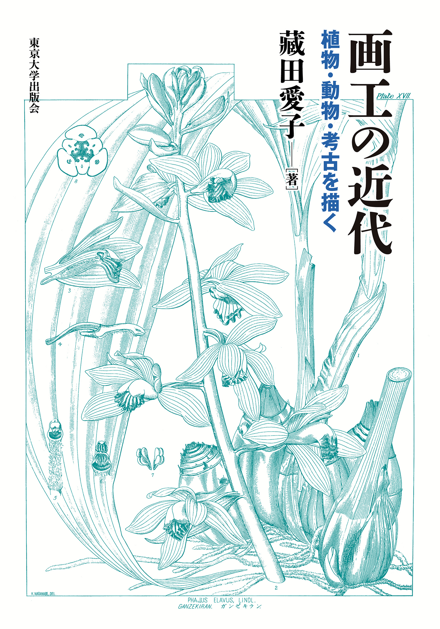 a drawing of plants