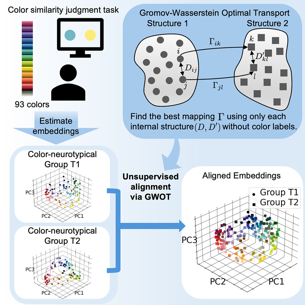 A diagram showing how two groups of people judged color similarity, with their results turned into 3D maps of color perception and then matched using a method that compares patterns without using color labels.