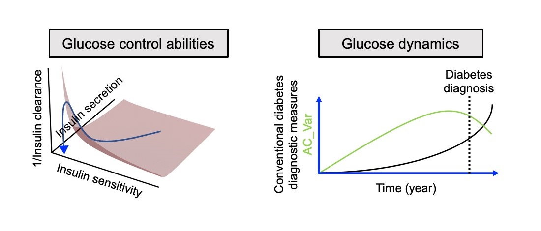 Diagrams showing relationship between a new CGM-derived index and blood glucose control ability