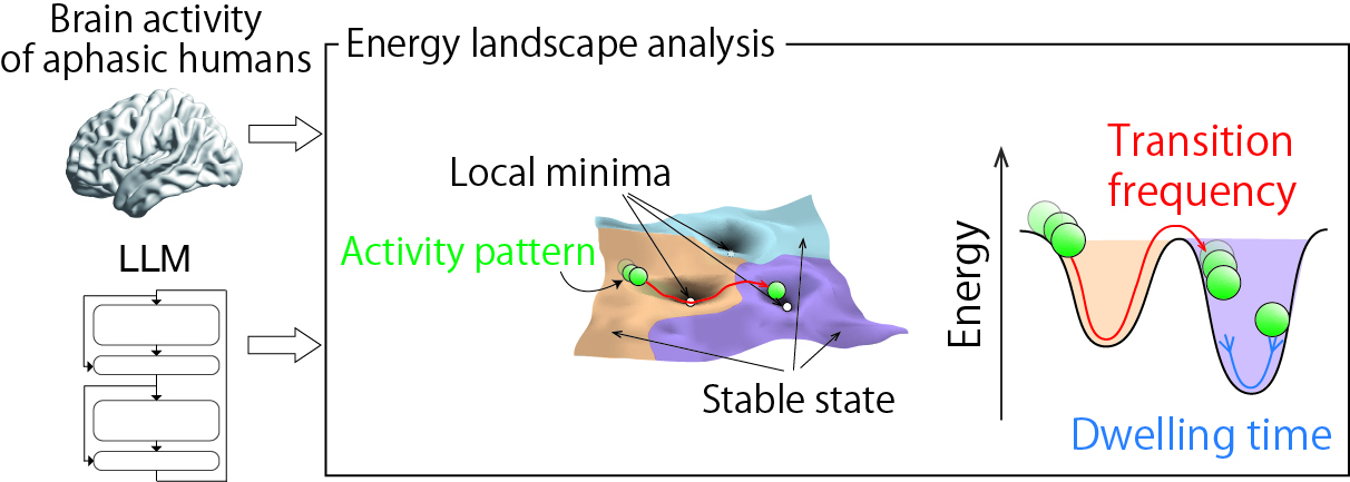 Diagram of a brain and signals within it.