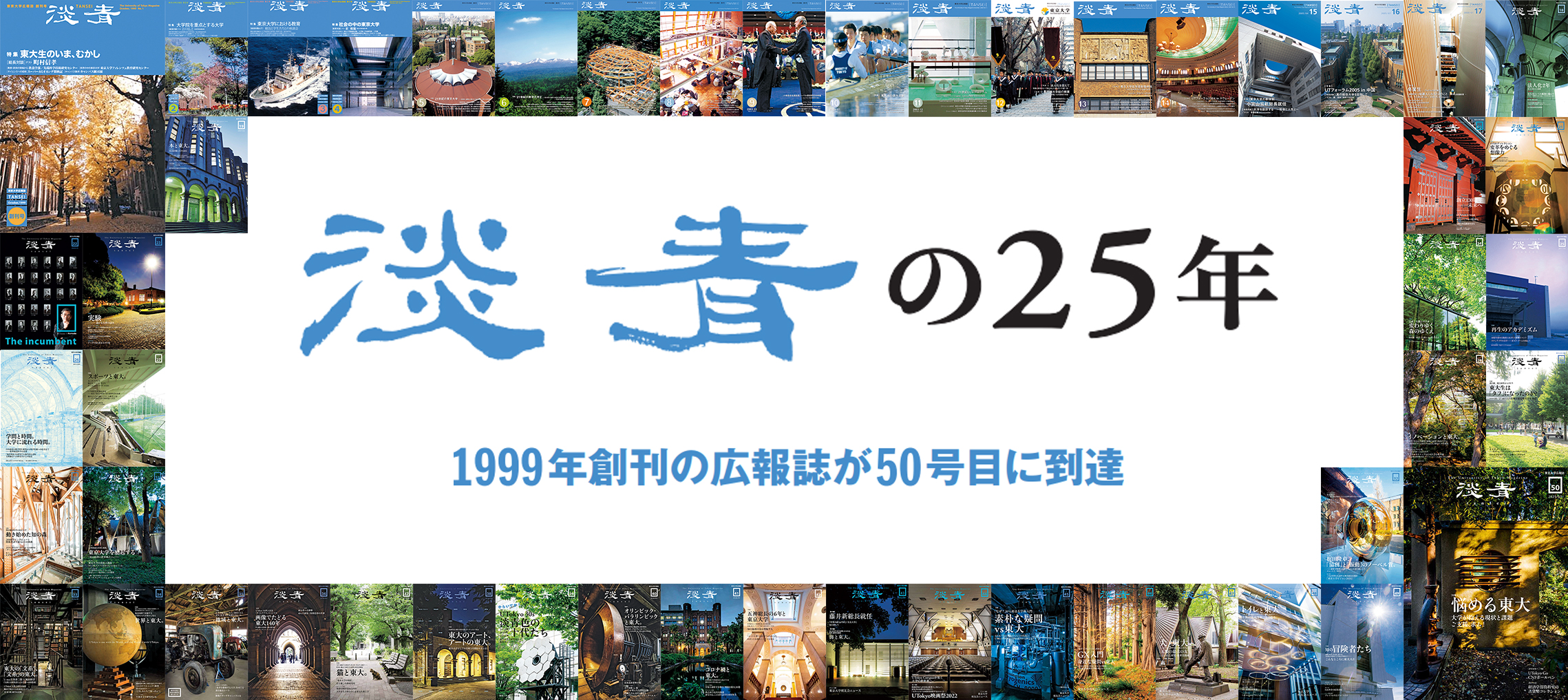 淡青の25年
