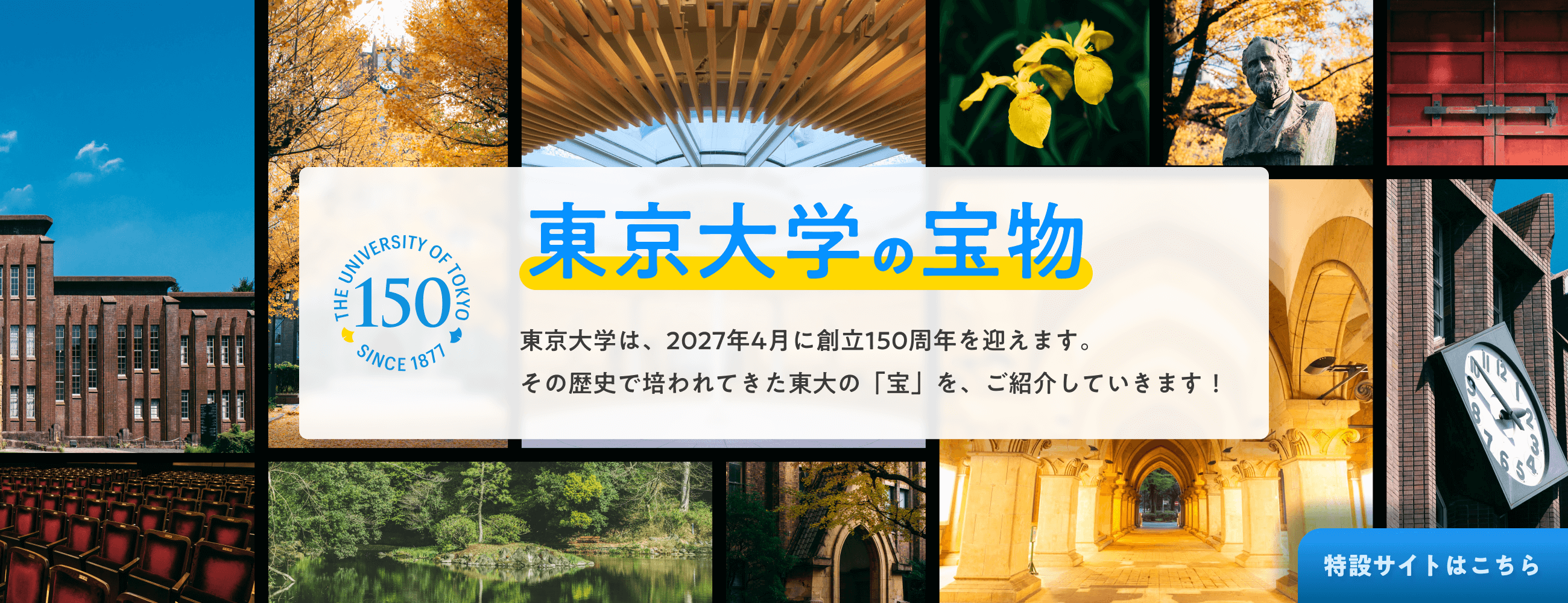 東京大学は、2027年4月に創立150周年を迎えます。その歴史で培われてきた東大の「宝」を、ご紹介していきます。別ウィンドウで開く