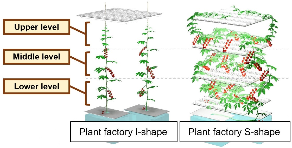 Diagram of two plants growing from blue boxes of earth.