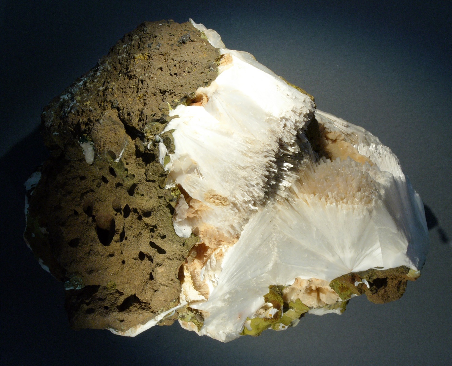 A grey brown rock with what looks like white fluff on it.