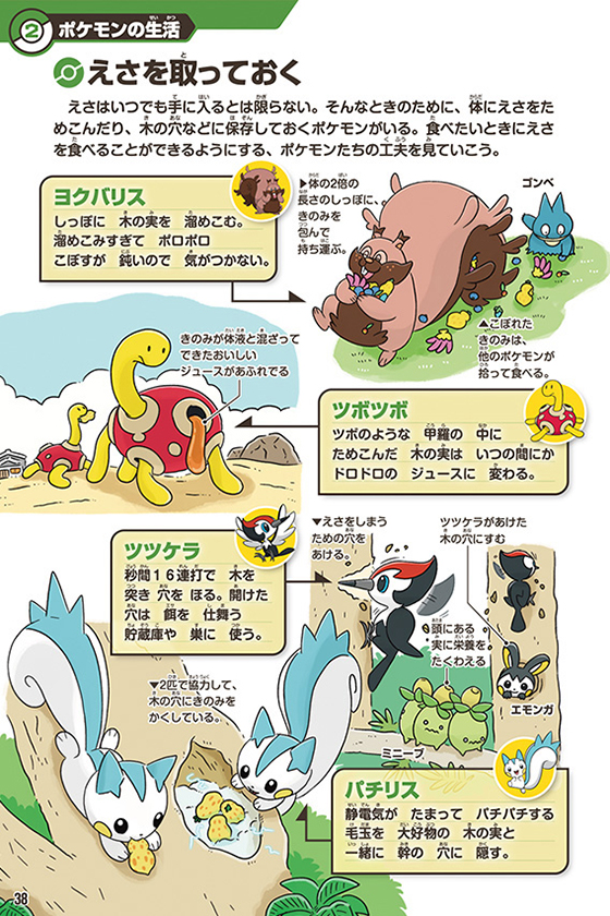 「ポケモン生態図鑑」から第2章の「えさを取っておく」p.38より、ヨクバリスとツボツボとツツケラとパチリスのイラスト