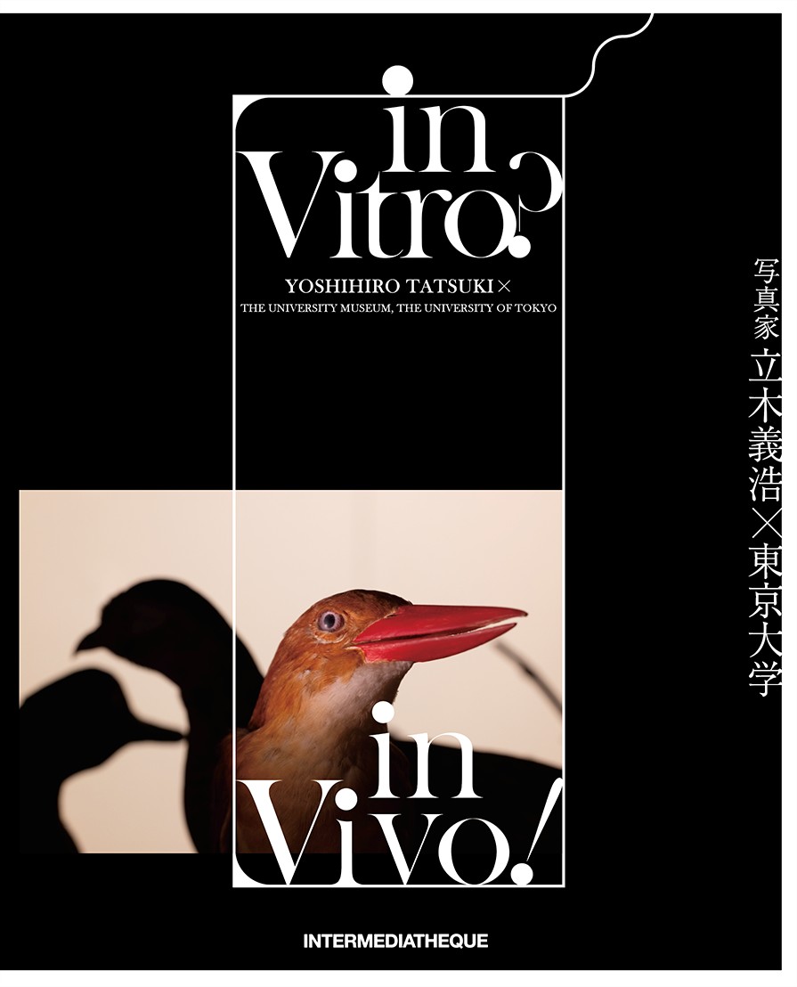 picture of bird on black cover