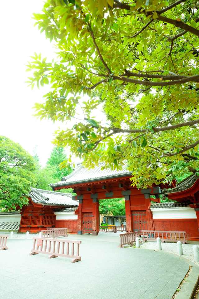 Acamon Gate (vertical)