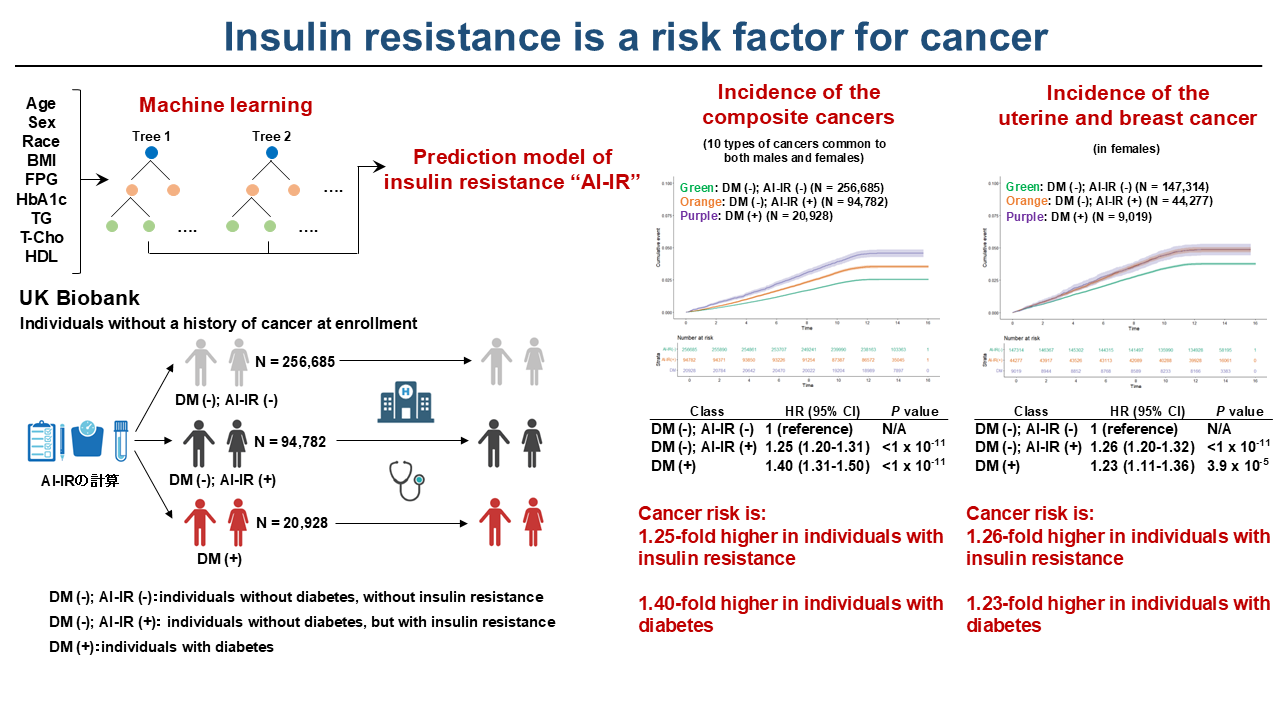 A series of charts comparing insulin resistance and cancer risk