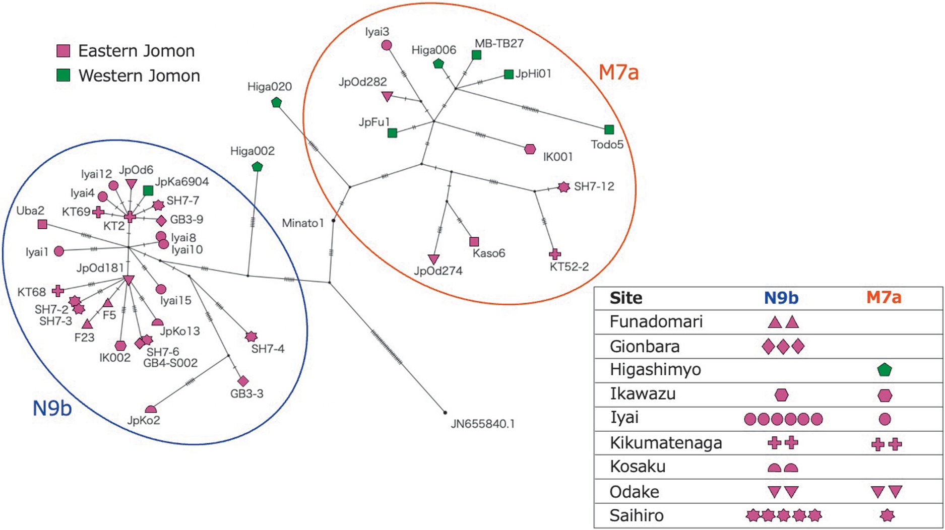 A branching web of labals relating to genetic groups, split into two main branches