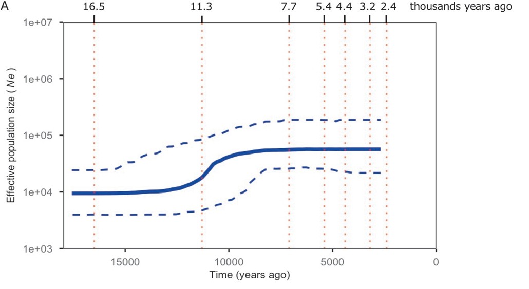 A line chart going from flat, then rising sharply, then flattening out again