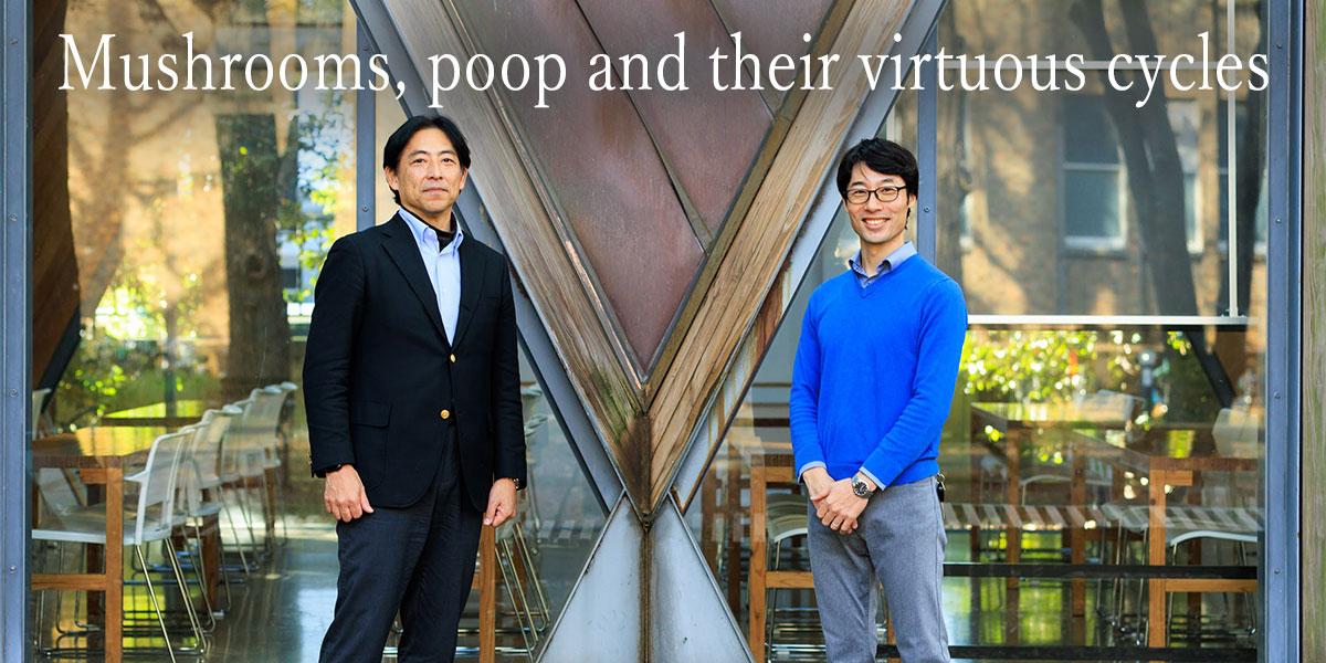 Mushrooms, poop and their virtuous cycles