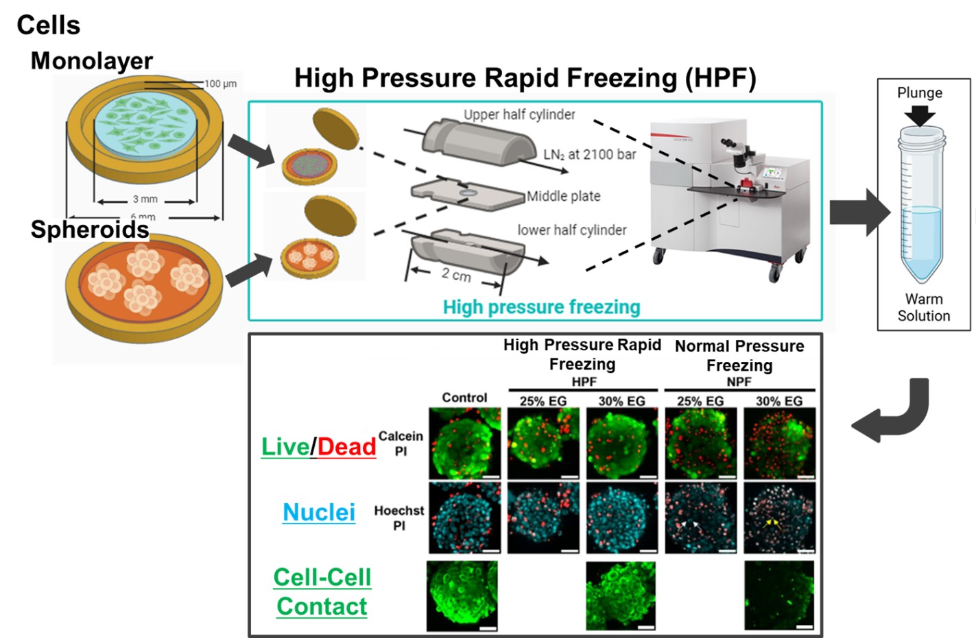 Image of experimental overview