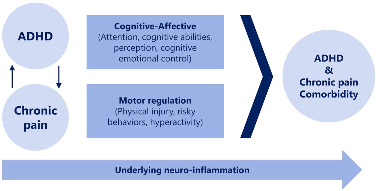 Light blue circles and boxes in a flow chart