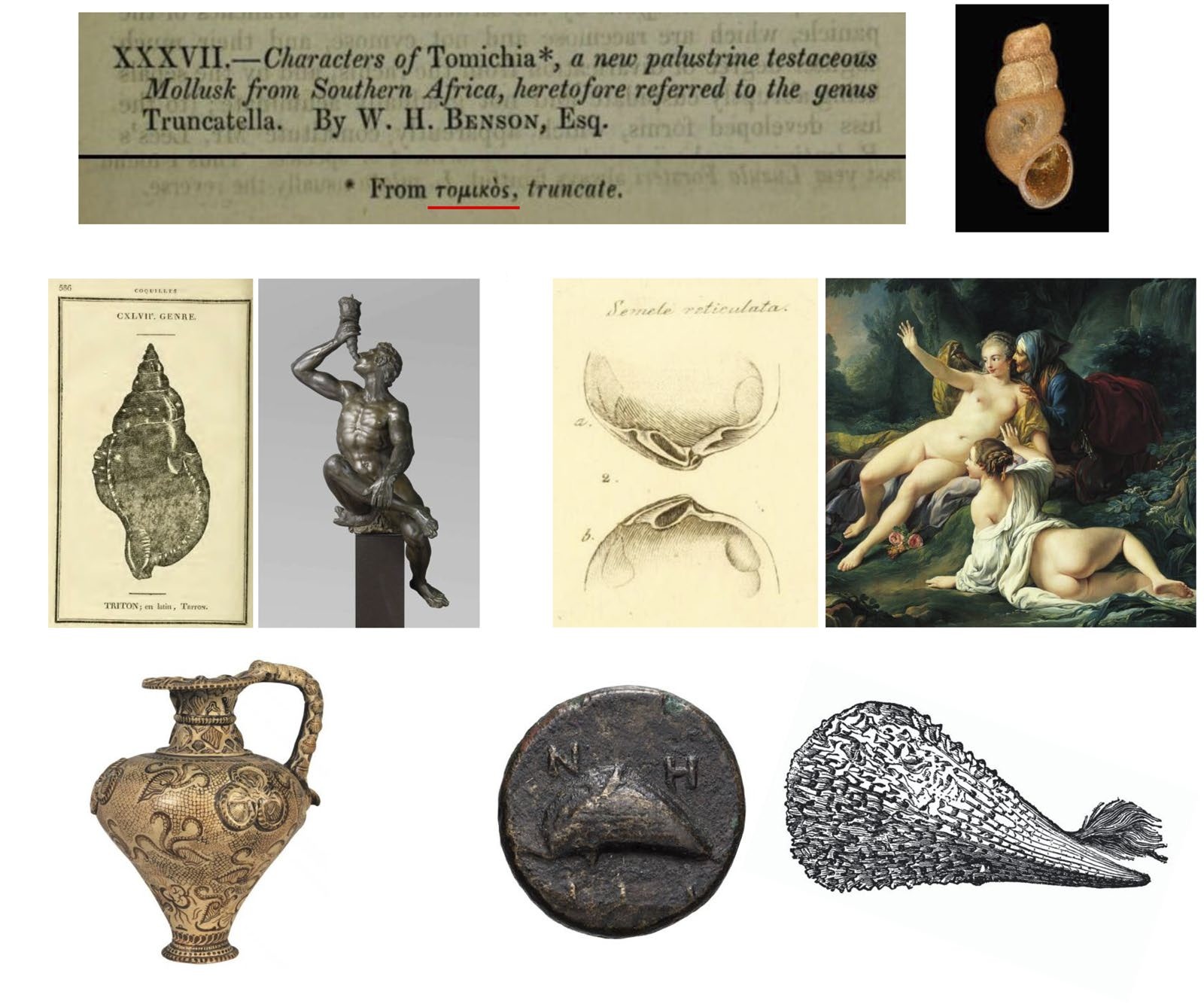 A selection of ancient greek artefacts