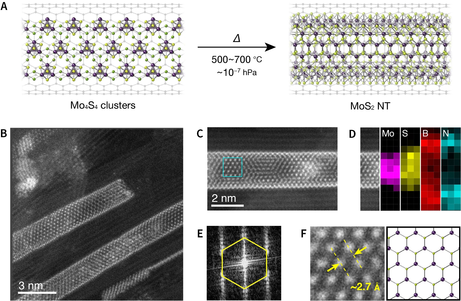 Micrscope images showing a grey mesh on a dark background