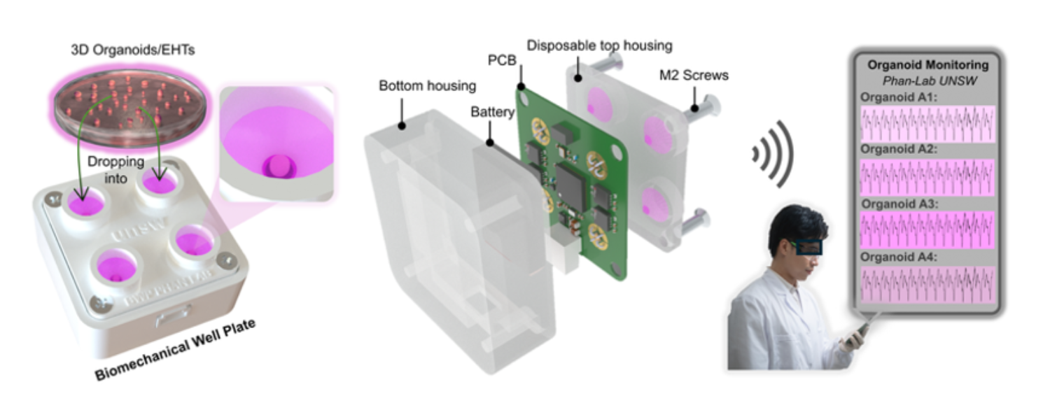 An exploded view of the parts of the biomechanical well plate.