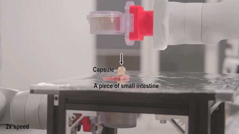 GIF of robotic arms controlling the movement of the capsule and brush.