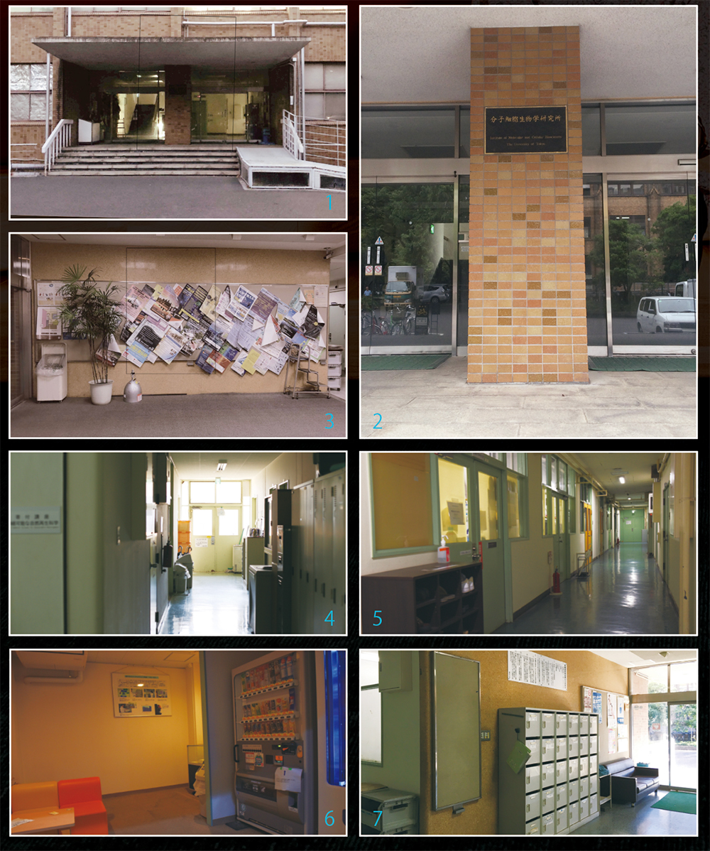 images